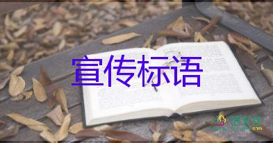 英防长和冒牌乌克兰总理聊了10分钟