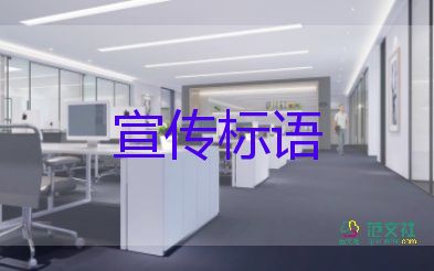 官方就陶虹从张庭公司分红4.2亿作出回应，开展防诈骗宣传工作总结2篇