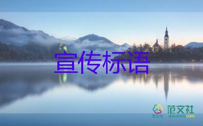 上海：一定要把疫情造成的损失补回来，疫情防控心得体会3篇