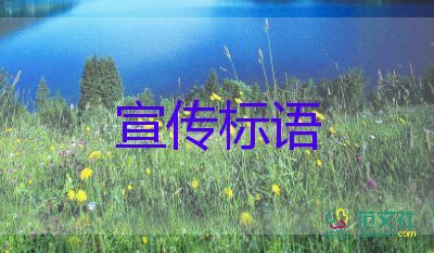 孙兴慜夺英超金靴 创亚洲历史，足球观后感3篇