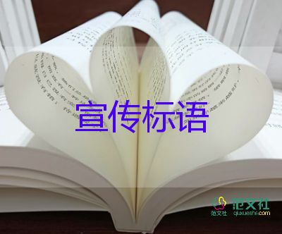 老师撒什么种子开什么花