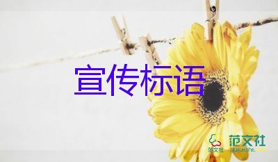 反腐大片收官省会老虎一家两制