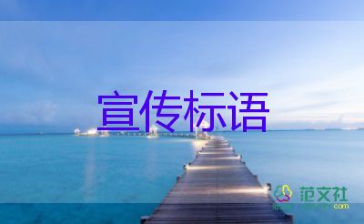 北京的个人名下第二辆及以上小客车将有序退出，车辆管理工作总结2篇