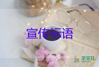 微信新功能：支持群消息置顶，微信运营的心得体会3篇