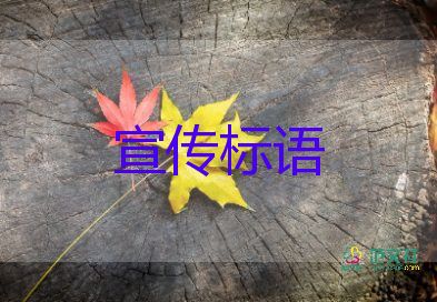 精选关于网络安全宣传标语最新40句