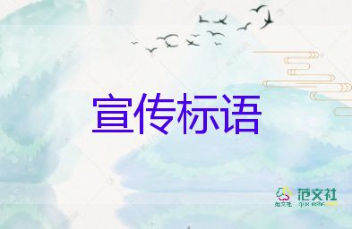 冬残奥会首次升起三面五星红旗