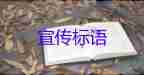 英防长和冒牌乌克兰总理聊了10分钟