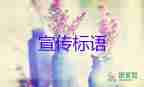 诚信宣传标语5篇