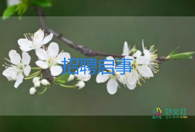 校园招聘活动总结5篇