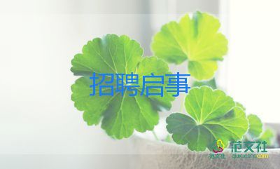 招聘的工作计划6篇