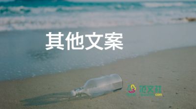 大学生招聘会心得7篇