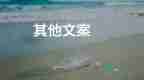 大学生招聘会心得7篇