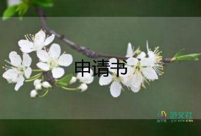 手续的申请书6篇