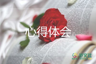 西游记心得体会800字以上8篇