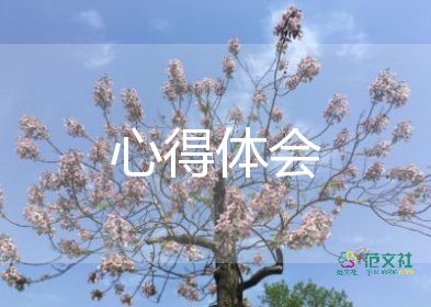 师德修养的心得体会9篇