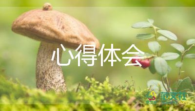 万能实训心得体会800字左右范文13篇