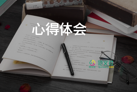 综合的实践心得体会5篇