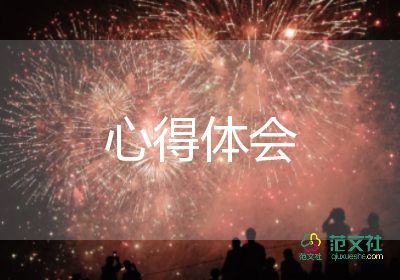 19大心得体会300字优质7篇