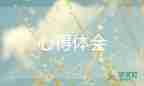 沙盘模拟实训总结报告800字3篇