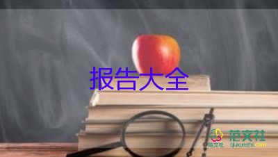 程序员的工作报告8篇