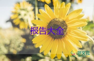 微后勤的总结报告推荐8篇