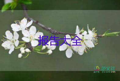 银行调研报告范文2篇