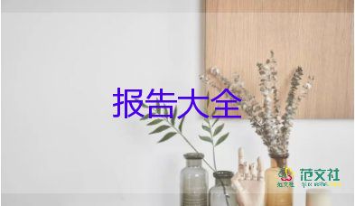 试用期工作报告100精选7篇