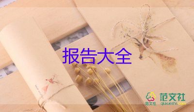 项目工作报告8篇