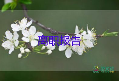 对公司的辞职报告6篇