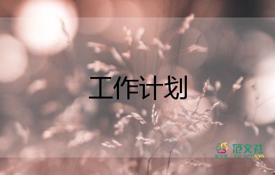 个人年终工作总结和计划5篇