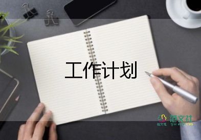 项目工作总结和计划5篇