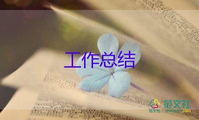 小学教师年度总结报告个人范文6篇