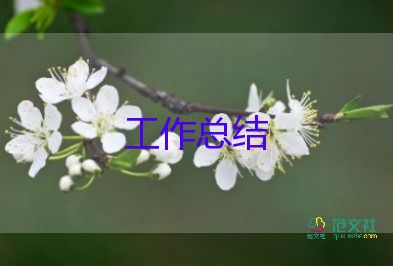 评选活动总结7篇