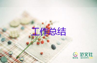 销售业务员日工作总结模板8篇