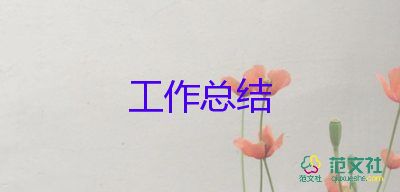 教师发工作总结模板6篇