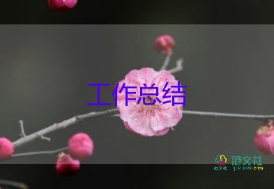 村总结主持词8篇