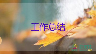 会议员工年终总结5篇