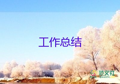 预算师年终工作总结6篇