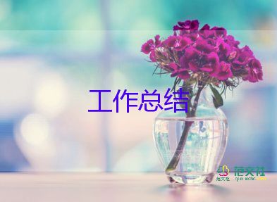 体育教师专业技术工作总结职称18篇