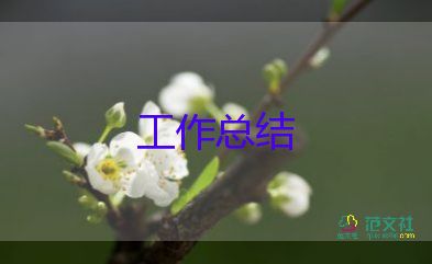 师德师风个人总结范文8篇