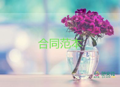 广告权代理合同优质8篇