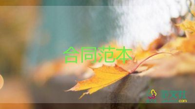 个人向公司借款合同模板6篇