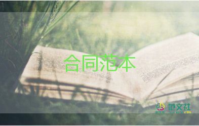 个人租赁合同优秀7篇