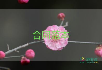 个人房屋抵押合同模板8篇