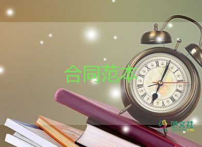 个人代理记账协议书4篇