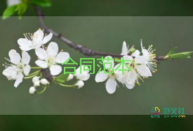 新房的买卖合同6篇