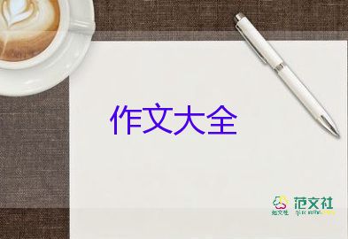 写捉迷藏的作文300字8篇