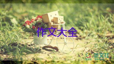 关于九九重阳节作文精选范文15篇