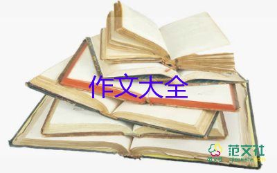 真正的爱作文800字5篇