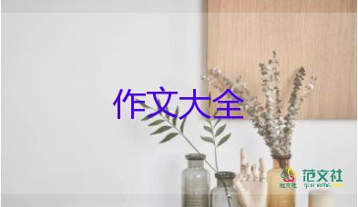 关于元宵节的作文模板7篇